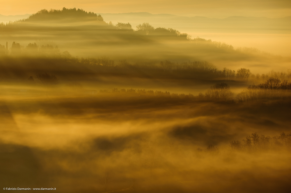 Fotografia Naturalistica 10