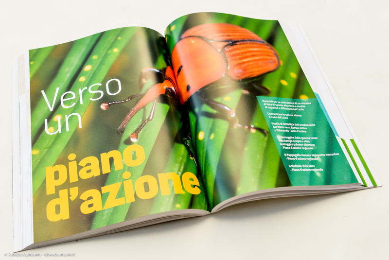 Stampa su carta prodotti editoriali 08