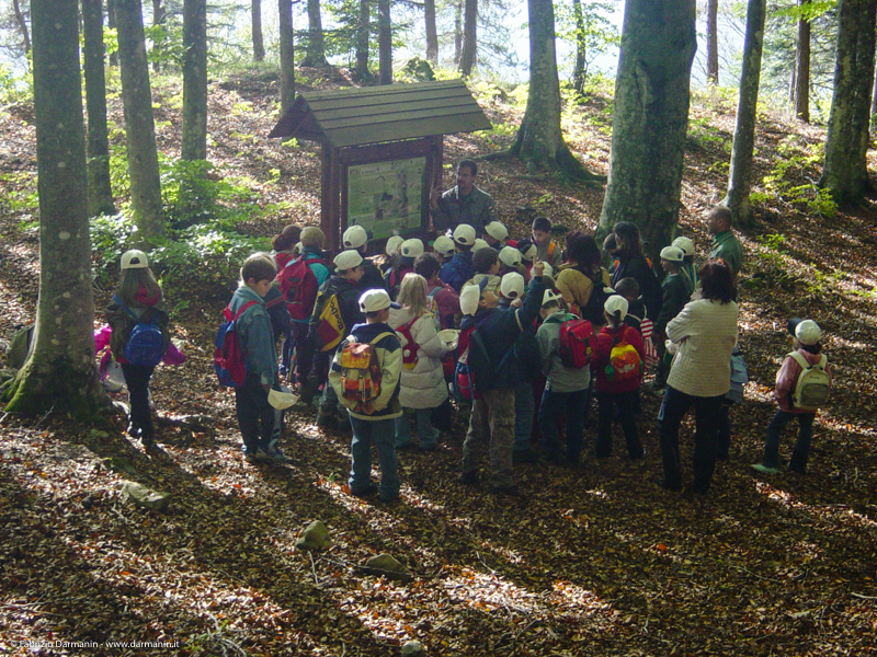 Percorso didattico Foresta di Sant'Antonio 03