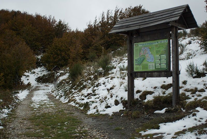 Percorso didattico Foresta di Sant'Antonio 07