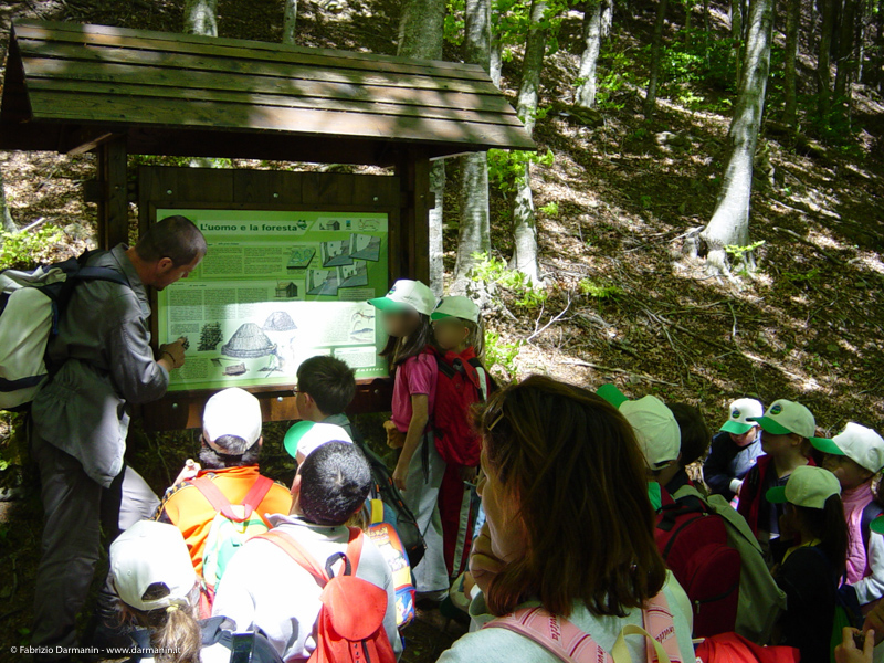 Percorso didattico Foresta di Sant'Antonio 09