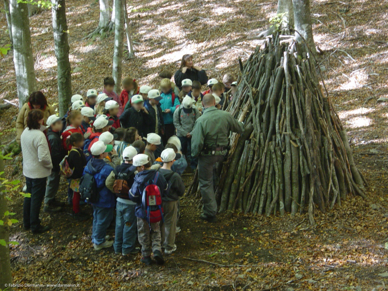 Percorso didattico Foresta di Sant'Antonio 10