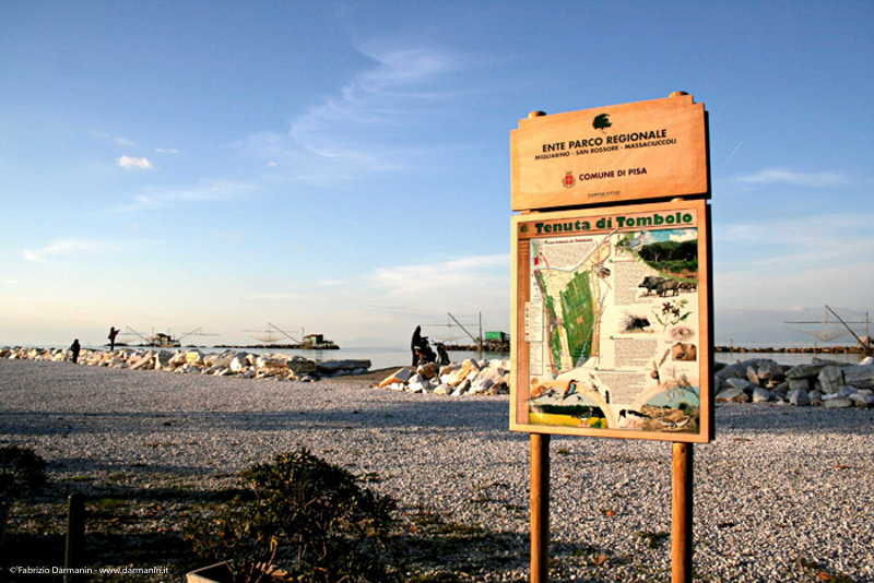 Parco di Migliarino Massaciuccoli San Rossore 01