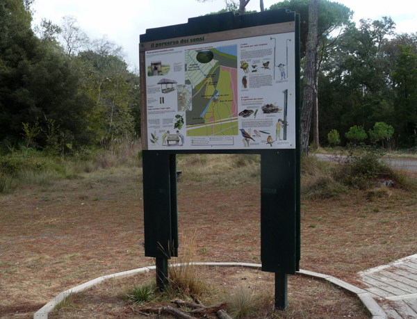 Parco di Migliarino Massaciuccoli San Rossore 02