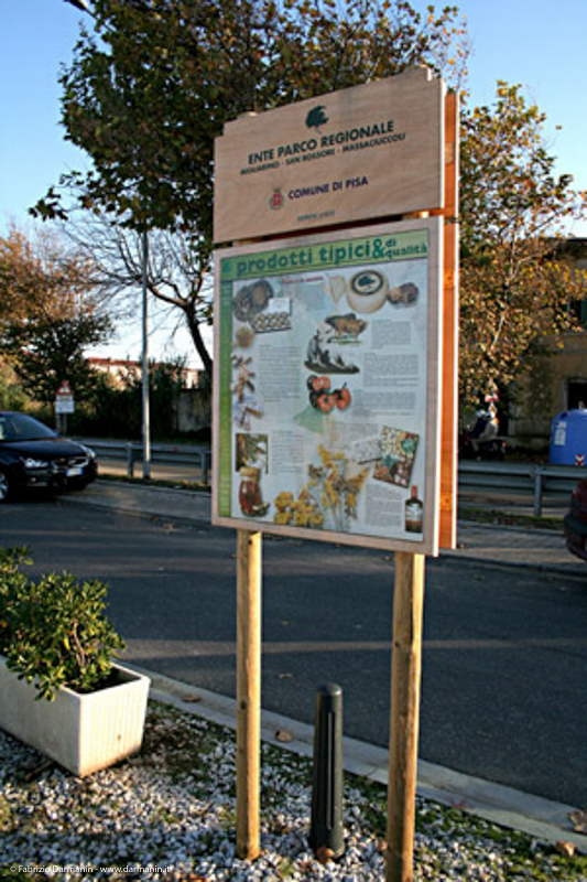 Parco di Migliarino Massaciuccoli San Rossore 03