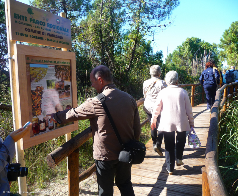 Parco di Migliarino Massaciuccoli San Rossore 06