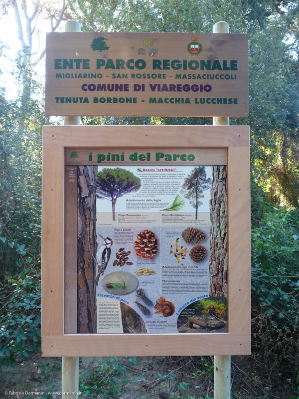 Parco di Migliarino Massaciuccoli San Rossore 08