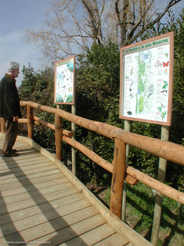 Parco di Migliarino Massaciuccoli San Rossore 09