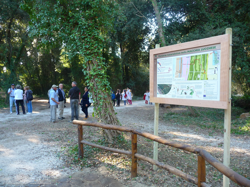 Parco di Migliarino Massaciuccoli San Rossore 10