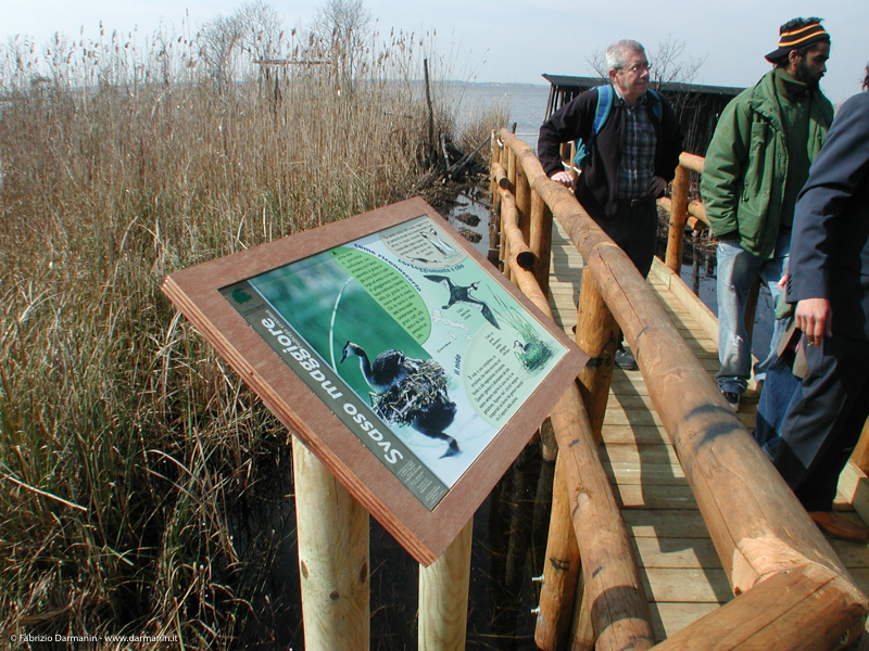 Parco di Migliarino Massaciuccoli San Rossore 14