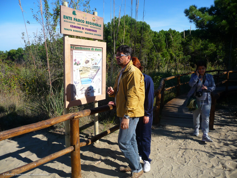 Parco di Migliarino Massaciuccoli San Rossore 15