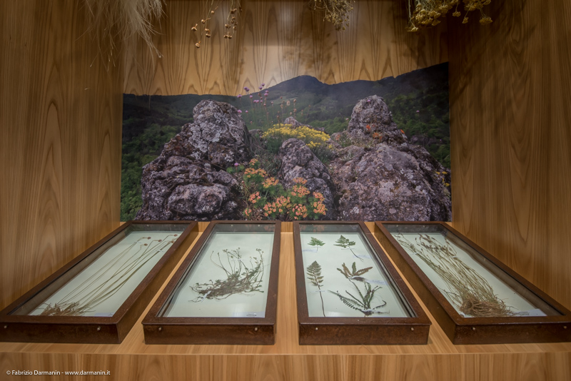 Centro Visita La Fabbrica della Natura 10
