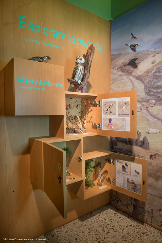 Allestimenti Centro Visite Alpe della Luna 16