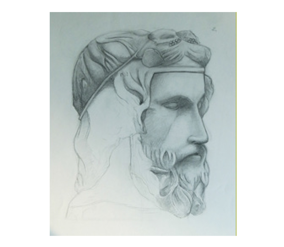 Disegno naturalistico 01