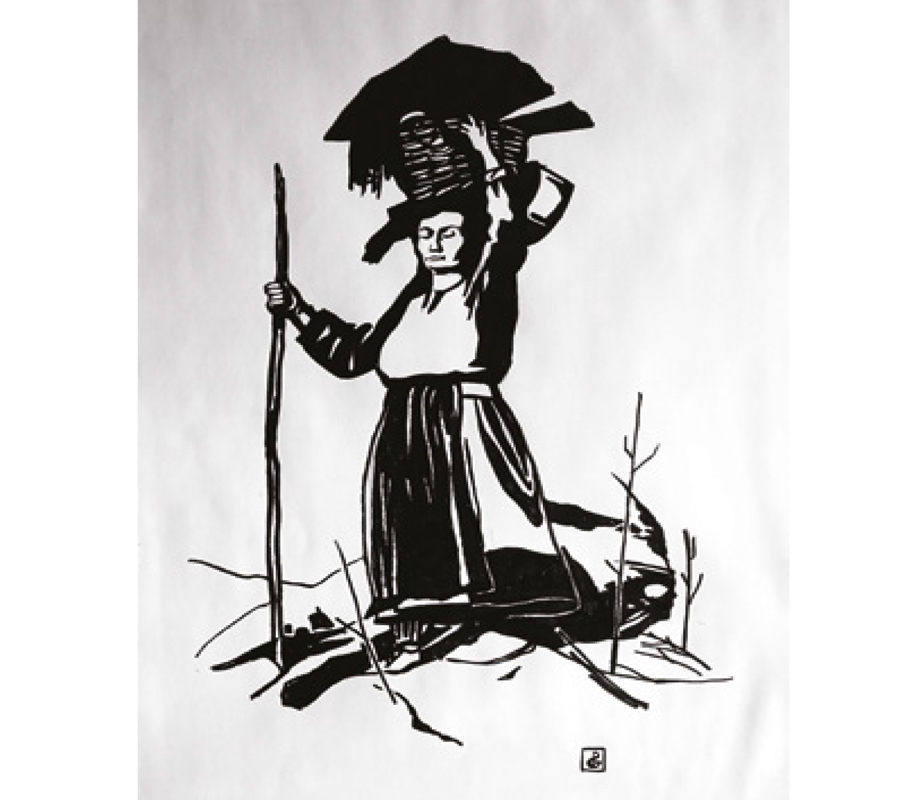 Disegno naturalistico 05