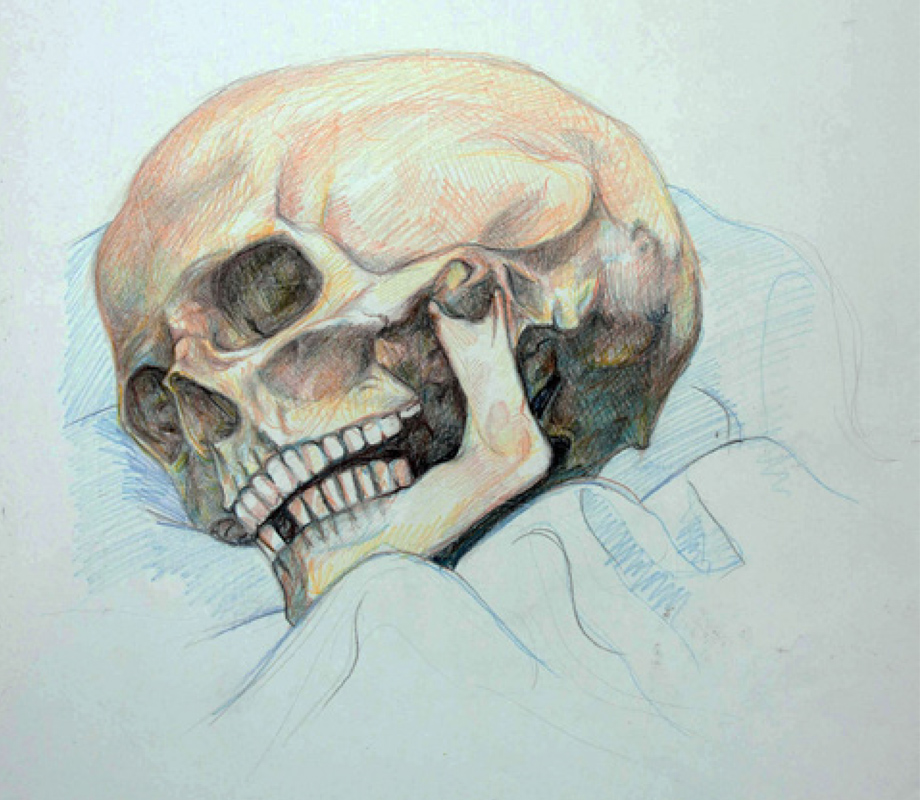Disegno naturalistico 12