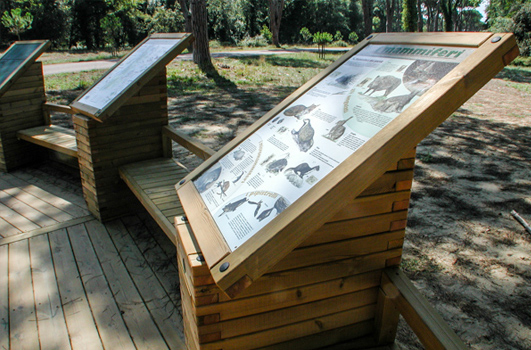 Parco di Migliarino Massaciuccoli San Rossore
