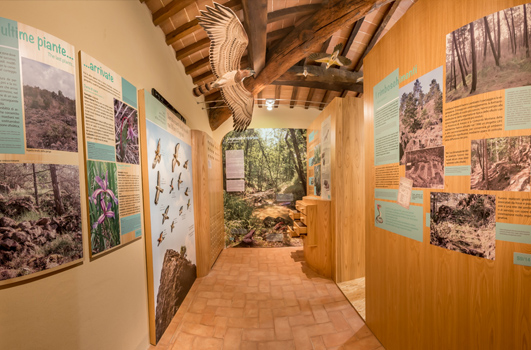 La Fabbrica della Natura
