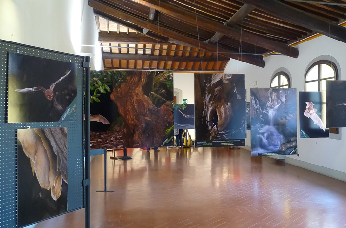 Allestimento mostre fotografiche